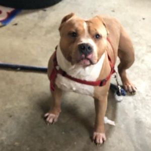 Meet your Posher, Markeisha